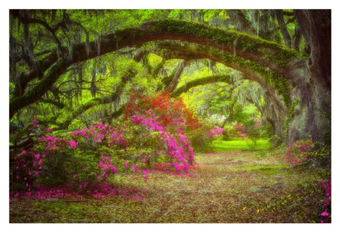 Framed Magnolia Gardens Print