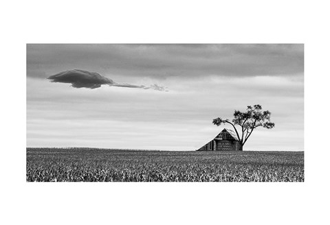 Framed Companions Print