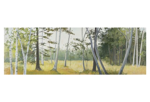 Framed Birch Field Print