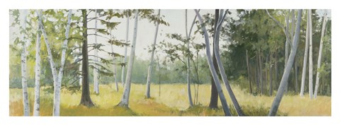 Framed Birch Field Print