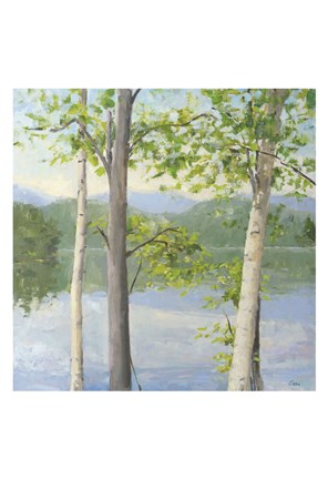 Framed Cooper Lake II Print