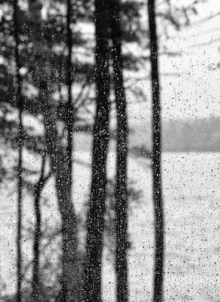 Framed Chatter Print