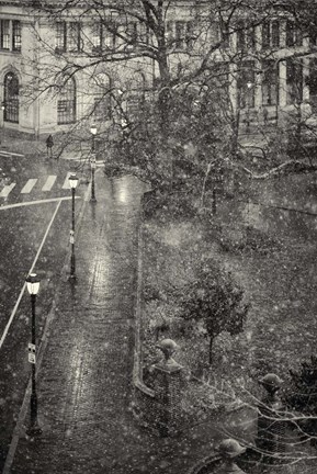 Framed Trompe L'Oeil Print