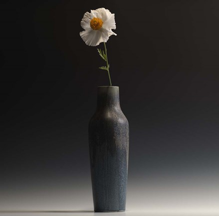 Framed Matalija Print