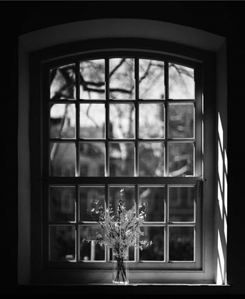 Framed Old Pine Church Print