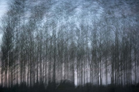 Framed Verschrankung Print