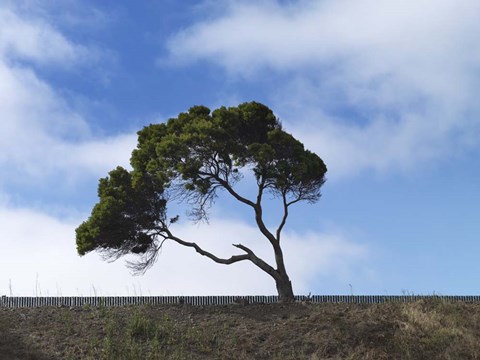 Framed Guilty Remnant (Polychrome) Print