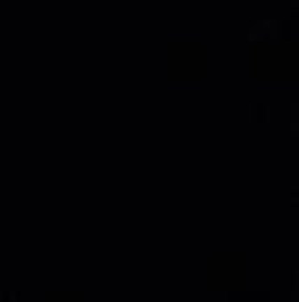 Framed Prince 3 Print