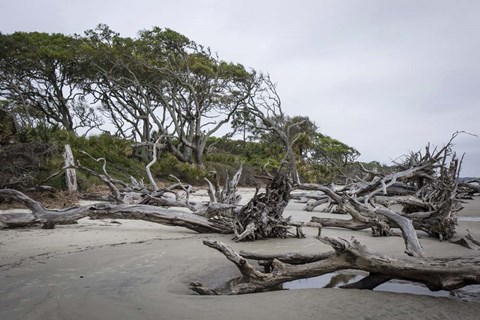 Framed Jekyll Is., GA Print