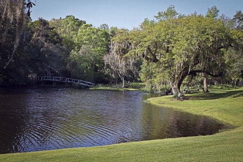 Framed Middleton Place 4, SC Print
