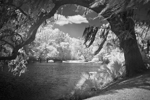 Framed Middleton Place 2 B&amp;W, SC Print