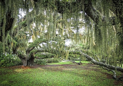 Framed Jekyll Is. GA Print