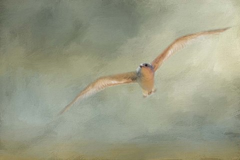 Framed Day At The Beach 1 Print