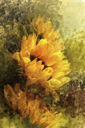Framed Impressionist Sunflowers Print