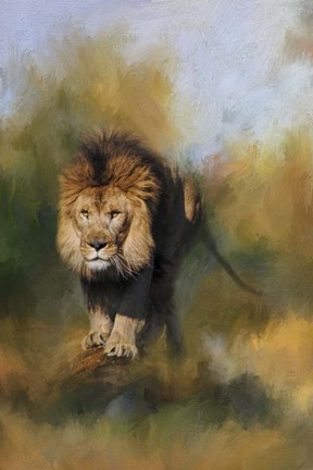 Framed Spring Lion 1 Print