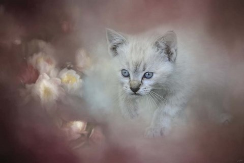 Framed Sweet Moment 3 Print