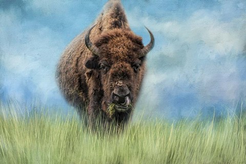 Framed Afternoon Snack Print