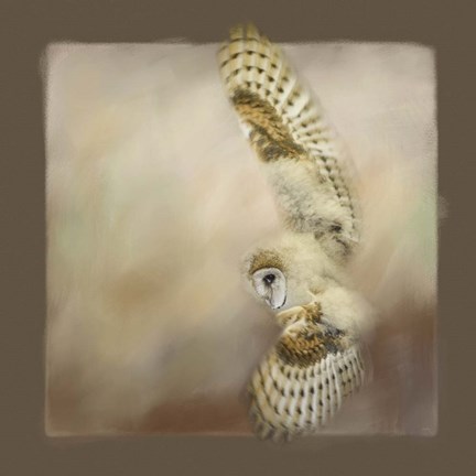 Framed Attempting The First Flight Print