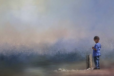 Framed Little Rock Collector Print