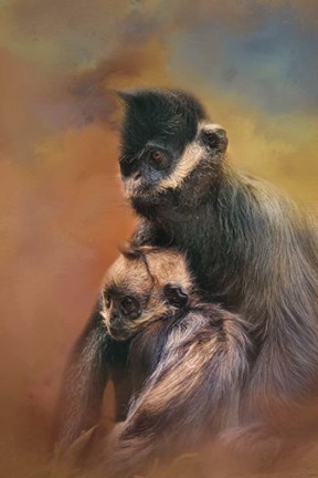 Framed Mom And Baby Francois Langur Print