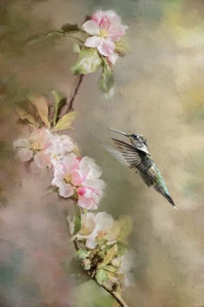 Framed Seeking Nectar Print