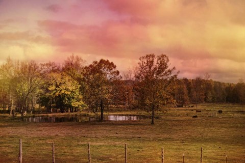 Framed Autumn At The Cattle Farm Print