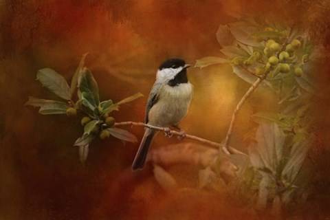 Framed Autumn Day Chickadee Print