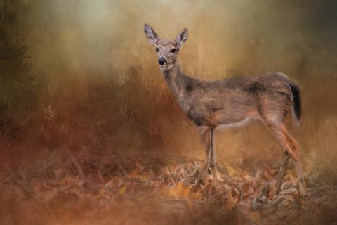 Framed Autumn Journey Print