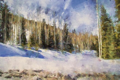 Framed Colorado Color Splash 3 Print