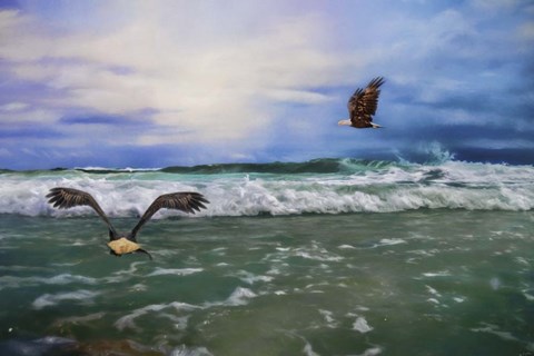Framed Eagles At Sea Print