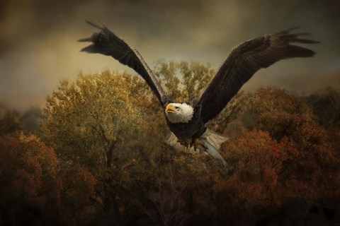 Framed Fall Fishing Print