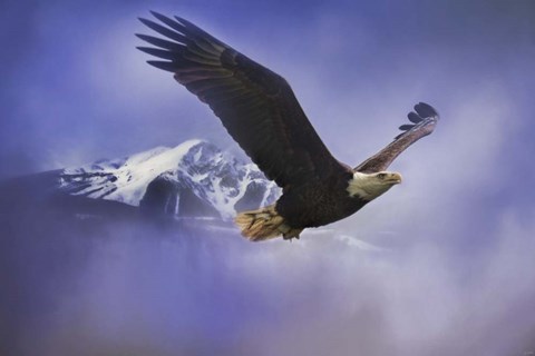 Framed Fishing In Winter Print