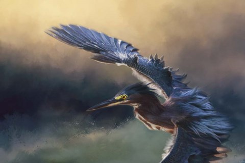 Framed Flight Of The Green Heron 2 Print