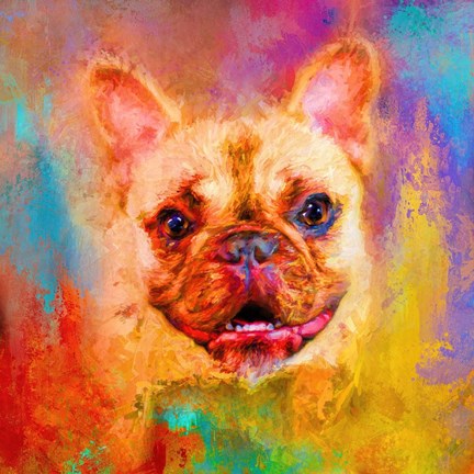 Framed Jazzy French Bulldog Print