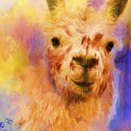 Framed Jazzy Llama Print
