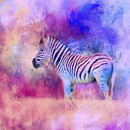 Framed Jazzy Zebra Pink And Purple Print
