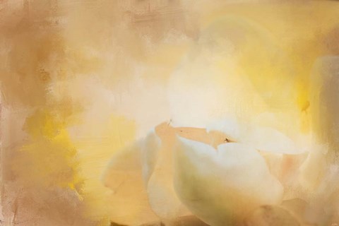 Framed Late Magnolia 1 Print