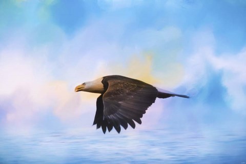 Framed Sea Coasting Print