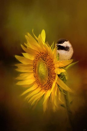 Framed Tiny Surprise Print