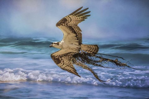 Framed Treasures For The Nest Print