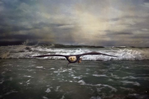 Framed Victory Print