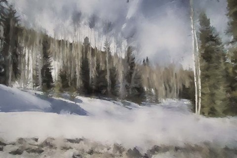 Framed Winter Impressions In Colorado 9 Print