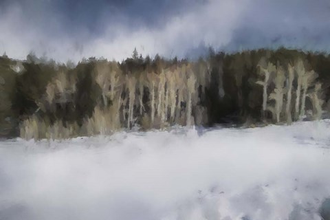 Framed Winter Impressions In Colorado 11 Print