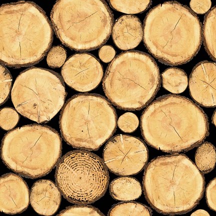 Framed Wilderness Lodge-H Print