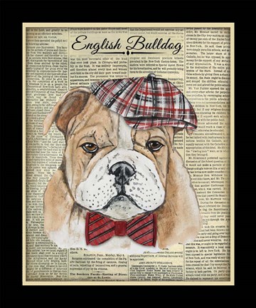 Framed English Bulldog Print