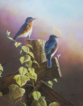 Framed Touch Of Spring Print