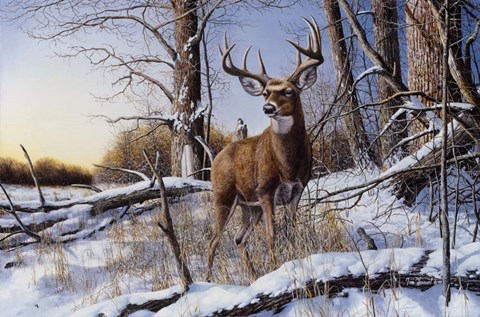 Framed After The Season 1 Print