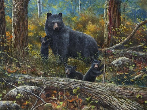 Framed Age of Wonder Print