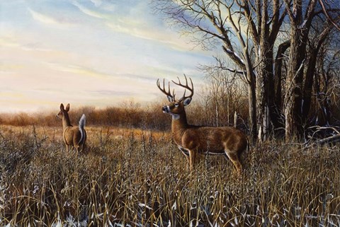 Framed Breaking Cover Print