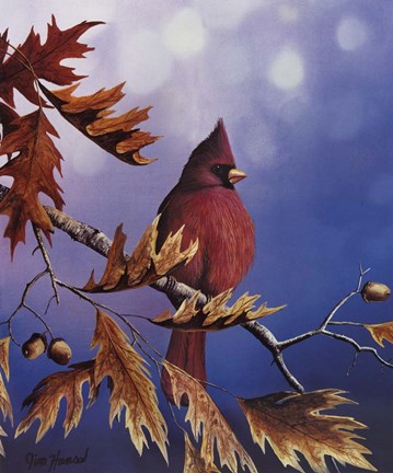 Framed Cardinal Print